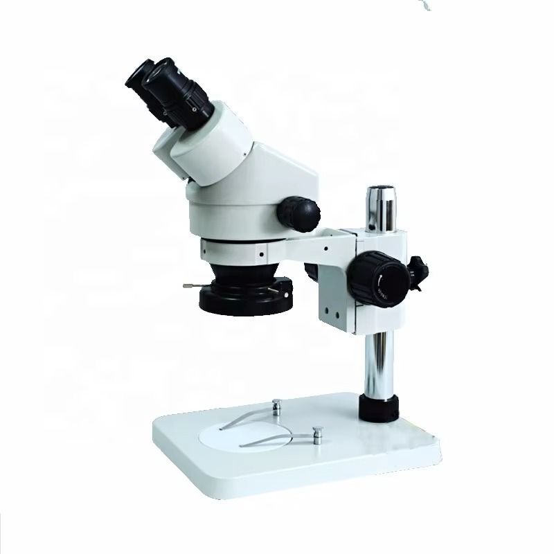 Fabryczna Sprzedaż Bezpośredni – Digital Microscope recenzja i cena
